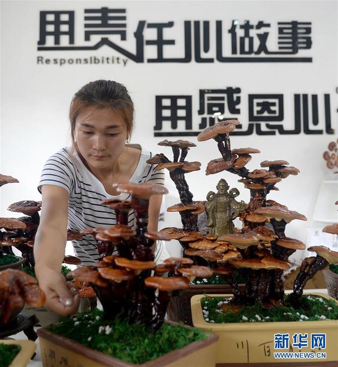 (图片故事)(6)创业者罗婵:回到大山 与乡邻共同脱贫致富