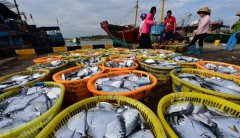 <b>海南琼海：秋来捕捞忙</b>