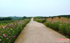 <b>内江：建设“四好农村路”，造福更多人</b>
