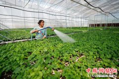 <b>农业农村部：前7个月农业农村经济运行平稳向好</b>