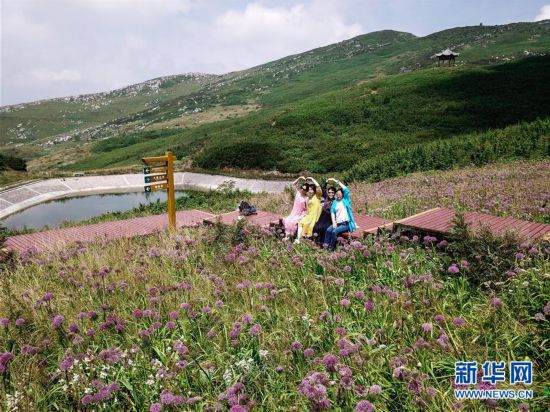 （环境）（2）贵州六盘水：韭菜坪花开引客来