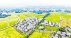 <b>乡村振兴的成都 品不够的新图景</b>