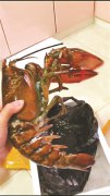 <b>大连买海鲜遭掉包 吉林游客千里维权获8000元赔偿</b>