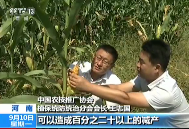 农业农村部：防治秋粮重大病虫害  全力保丰收