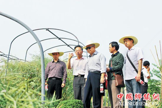 李加纳(左二)在油菜地工作。(西南大学供图)