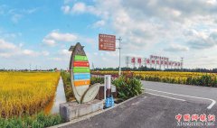 <b>巴蜀乡村振兴 产业将这样谋兴旺</b>