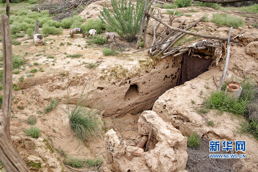 持“枪”入沙地:治沙劳模王银吉