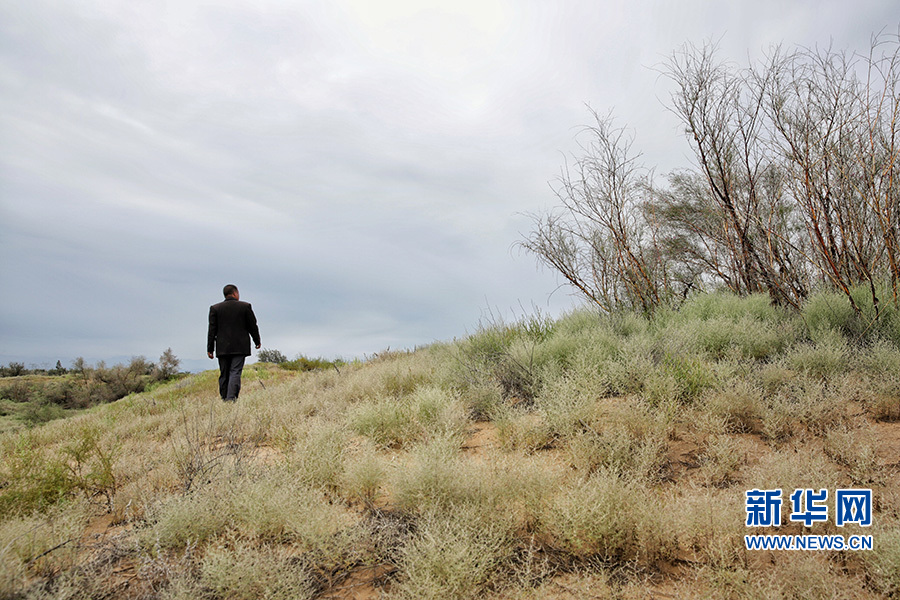 持“枪”入沙地:治沙劳模王银吉
