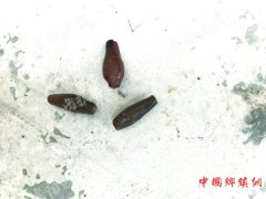 乡村田埂上 出土汉晋网坠