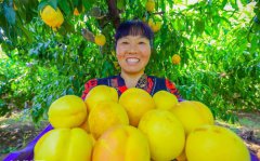 “农旅融合”助推乡村振兴