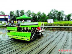 <b>水稻机直播 在四川“走”得好吗？</b>