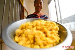 <b>蚕农陈东日：我的梦想是彩色的</b>