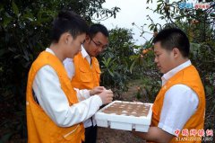 <b>四川新增28个国家级电商进村示范县</b>