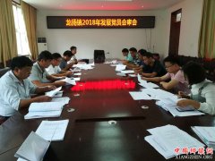 安徽谯城区龙扬镇：党员会审，确保发展党员质量