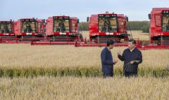 <b>双手捧起一碗米，总书记说：中国粮食，中国饭碗</b>
