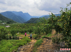 <b>安徽贵池：扶贫出实招  创边缘村美好未来</b>