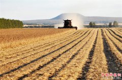 <b>黑龙江垦区秋收忙</b>