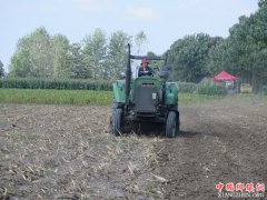 <b>收、耕并进抢农时</b>