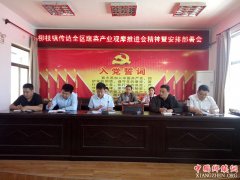 陕西柳枝镇：召开传达全区蔬菜产业观摩会精神暨安排部署会