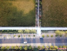 <b>天空之眼瞰小岗村</b>