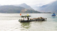 <b>三峡清漂忙</b>