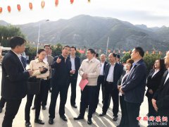 <b>全国农村集体产权制度改革第六督察组检查指导柳枝镇</b>