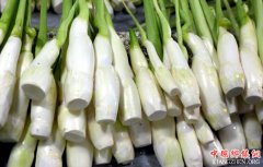 茭白“落户”南江 烂泥田长出“金疙瘩”