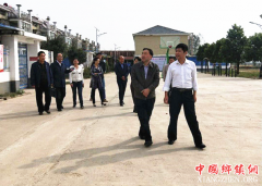 安徽省文化体制改革与发展工作领导小组办公室督察组一行深入枣庄镇杨寨村刘