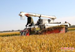 <b>山东郯城：“新动能”逼农民“靠边站”</b>