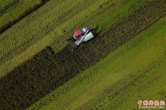 <b>浙江湖州：水稻秋收进行时</b>
