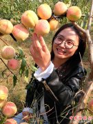 <b>山东郯城：雪桃满枝头 致富不用愁</b>