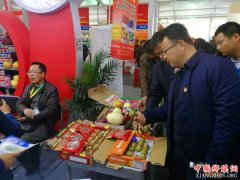 <b>高塘“蝶变”这一年</b>