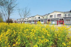 <b>美丽乡村建设为乡村振兴添活力</b>