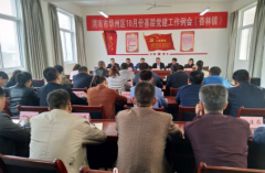 陕西华州区杏林镇：工作例会进农村  党建引领促发展