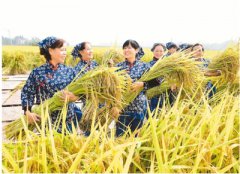 浙江桂花村:农旅融合 重拾乡愁