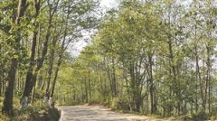 红河：好生态带来好“钱景”