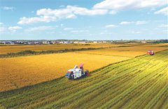 金秋时节 江苏各地喜迎丰收