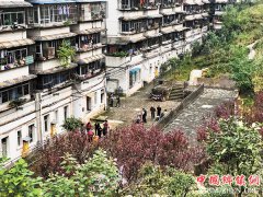 渝北区老旧单体楼实施街区化治理 告别脏乱差