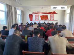 陕西杏林镇：典型引路  整体推进  奋力提升基层党建