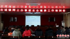 安徽谯城区古城镇：扎实做好“互联网+政务服务”工作