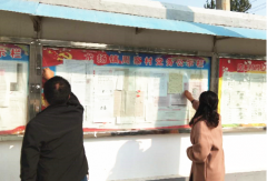 安徽龙扬镇开展村务公开和作风建设专项督查