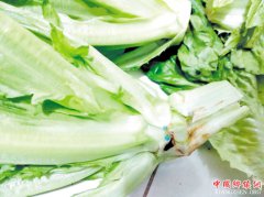 蔬菜跟有蓝色颗粒影响健康？专家：不用太担心