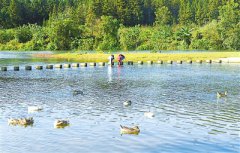 贵州省锦屏县：美丽雷屯引游人