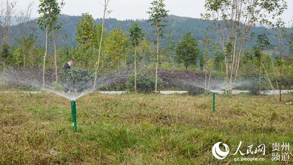 经过处理后的污水通过中水回用，作为植被浇灌用水。（李宇 摄）