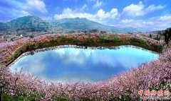 <b>成都龙泉驿：种植水蜜桃 收获致富果</b>