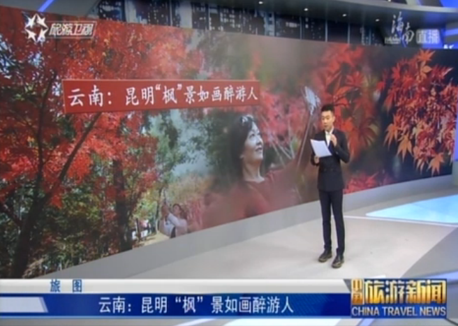 云南：昆明“枫”景如画醉游人