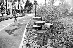 北京：未来五年再增森林湿地100万亩