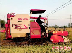 盐城盐都推进秋粮收获工作 一片繁忙景象