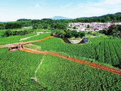 海南琼中县：富美乡村奏新曲