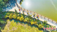 重庆：梁平柚丰收